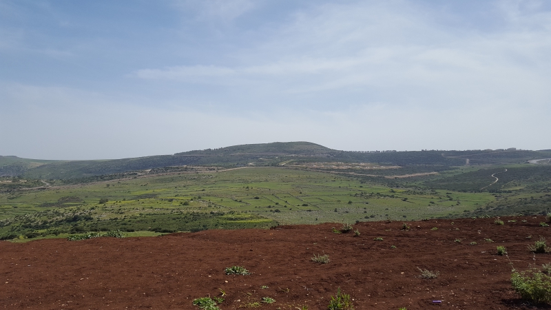 Панорама на холмы Галилеи
