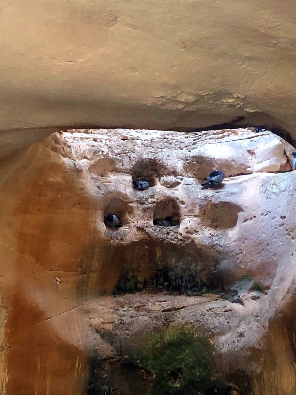 Бейт-Гуврин. Пещера-колумбарий