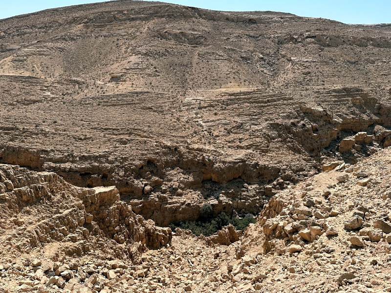 Вади Мамшит