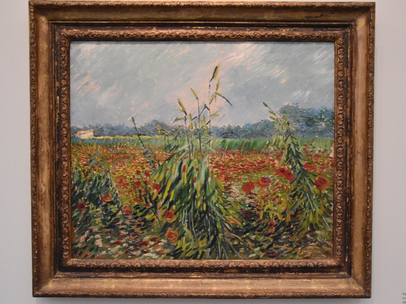 Музей Израиля. Винсент ван Гог – Кукурузные поля и маки