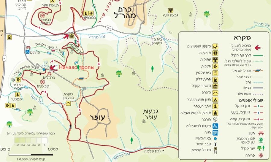 Схемы маршрутов по лесам Хоф ха-Кармель