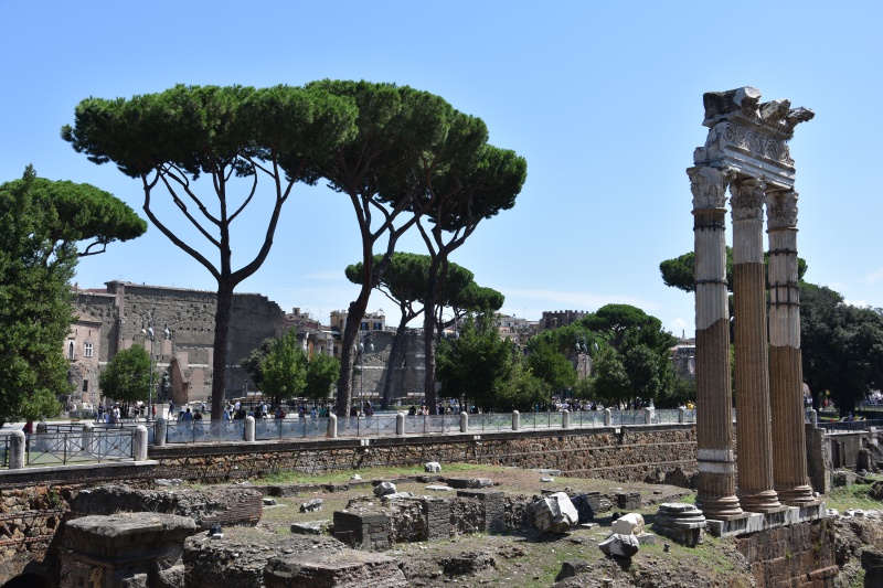 Римский форум. Храм Венеры-Прародительницы